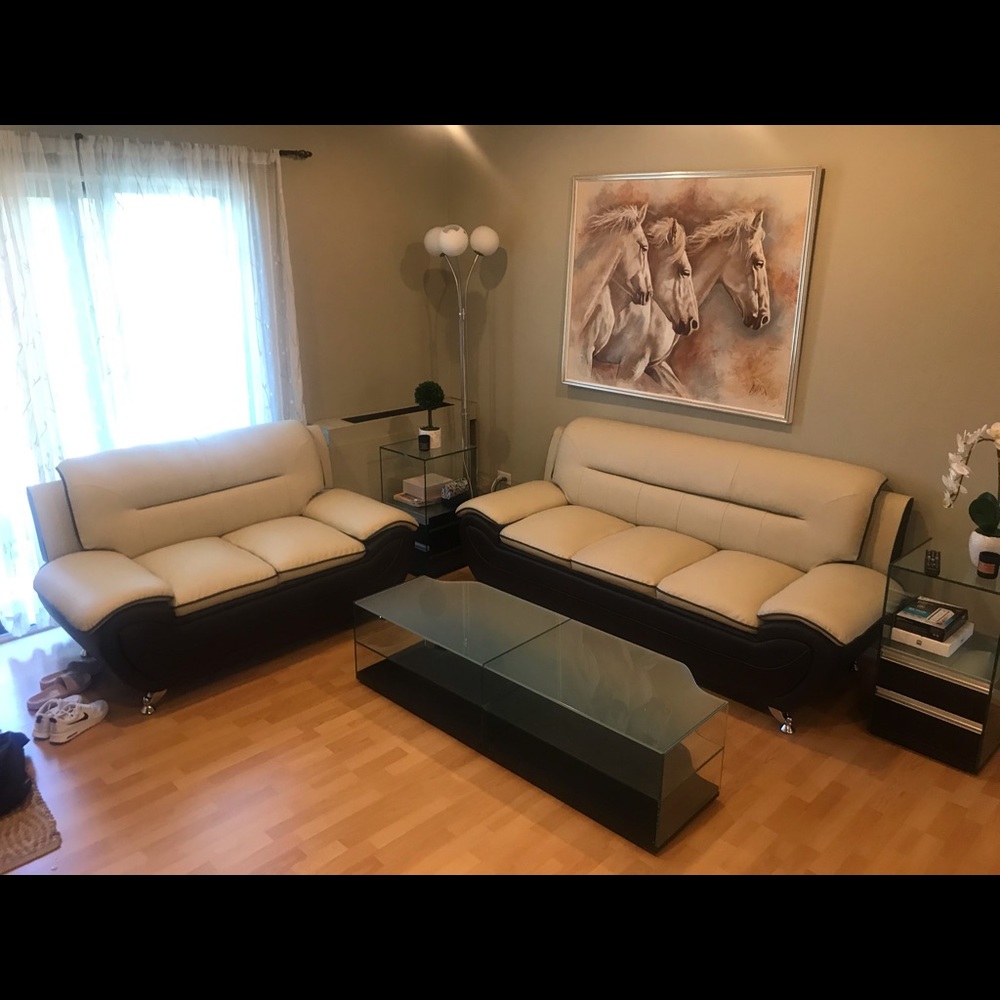 2 Piece Living Room set - purchased 6 months ago.